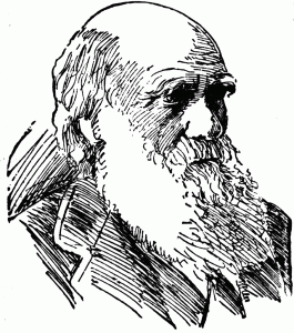 Darwin